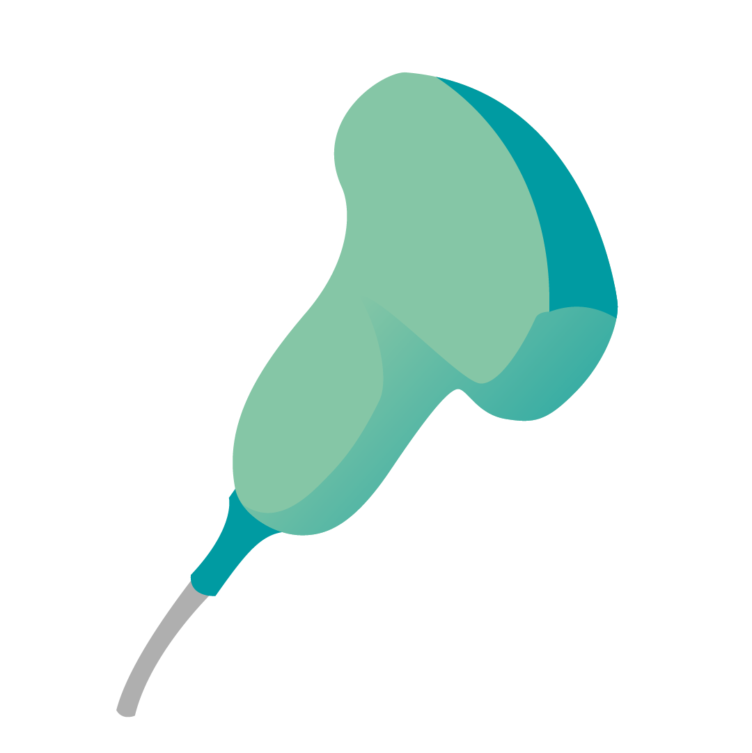 Ecografía musculoesquelética